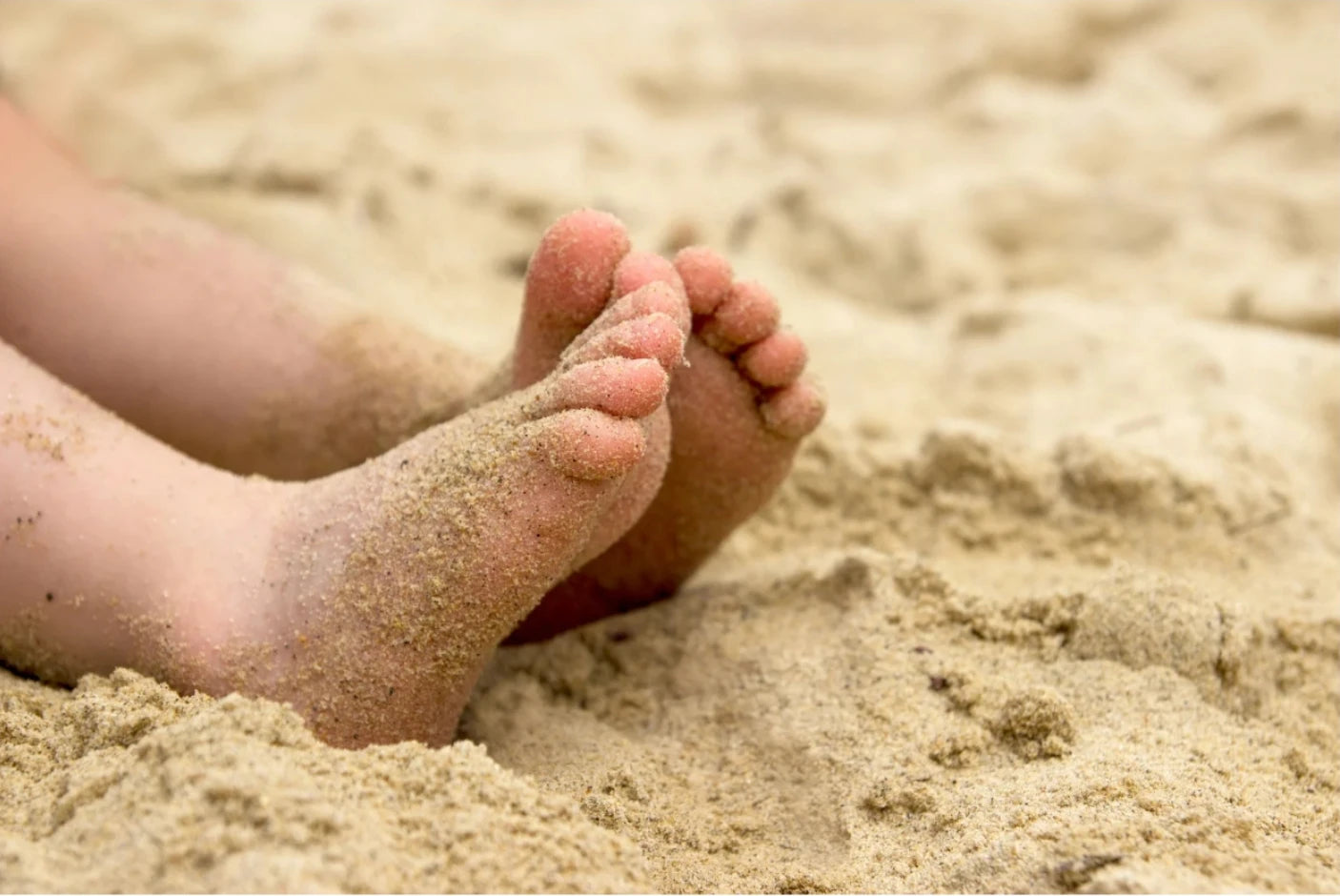 Guppies | Time To Coast Sarasota, Florida